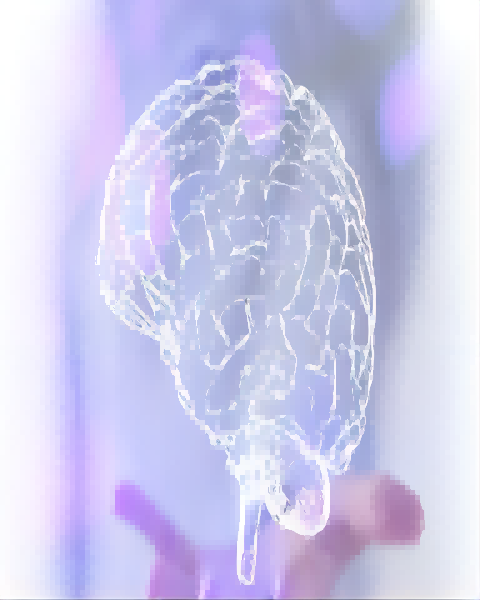 发现更准确生物学标志物，助力精神障碍疾病诊疗 — 引读刘河生教授最新个体化研究成果