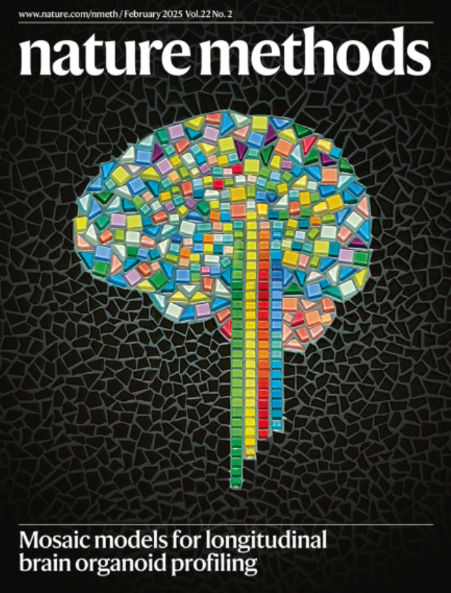 Nature Methods | DeepPrep神经影像预处理的“加速引擎”